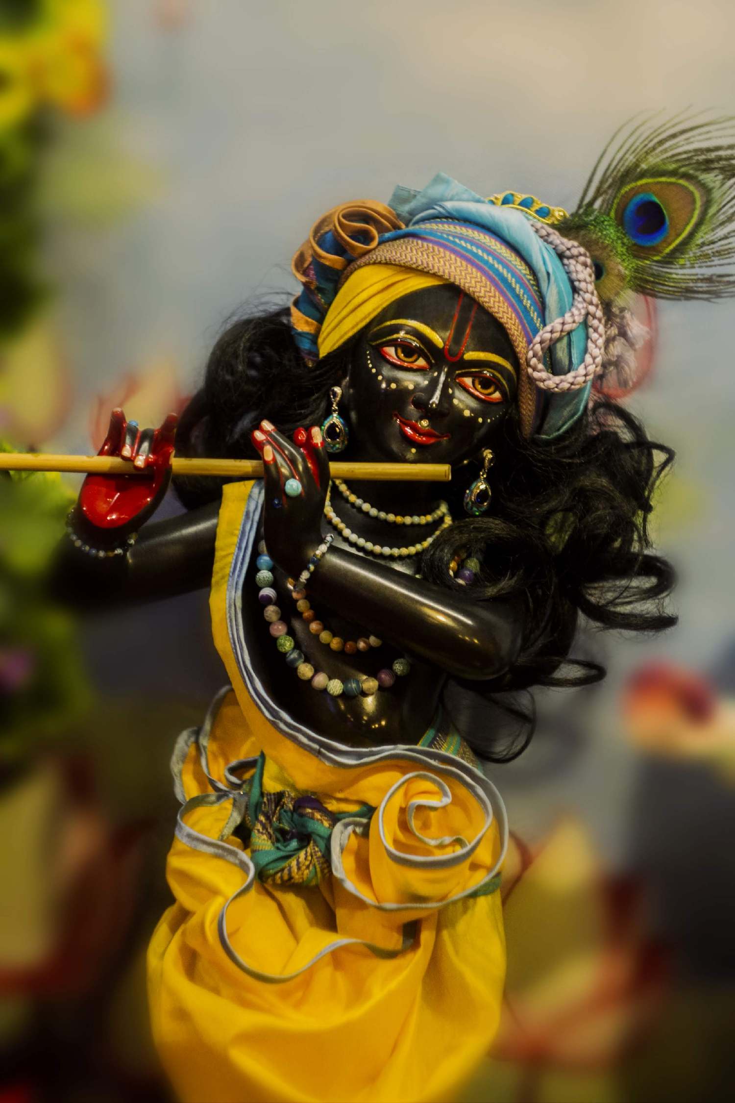 Семинар по Шри Говинда-Дамодара-стотре 2015 1